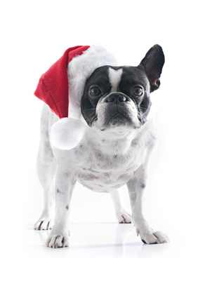 Weihnachtslügen